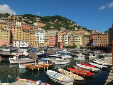 Der idyllische Hafen von Camogli