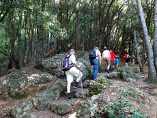 Ligurien bietet eine Vielzahl von Wanderwegen mit mittlerem bis gehobenen Niveau - so wie hier, beim Aufstieg von San Fruttuoso nach Portofino